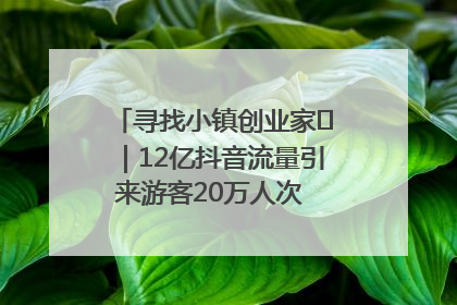寻找小镇创业家㊱｜12亿抖音流量引来游客20万人次 “襄阳许三多”爆改家乡打造网红村