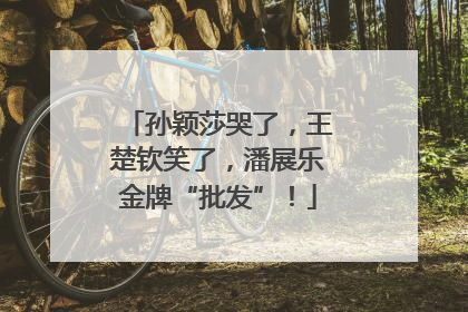 孙颖莎哭了，王楚钦笑了，潘展乐金牌“批发”！