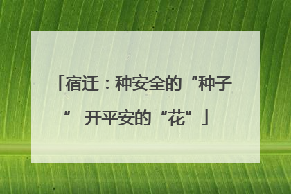 宿迁：种安全的“种子” 开平安的“花”