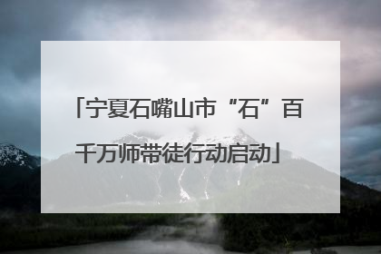 宁夏石嘴山市“石”百千万师带徒行动启动