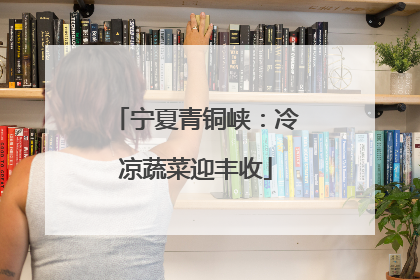 宁夏青铜峡：冷凉蔬菜迎丰收