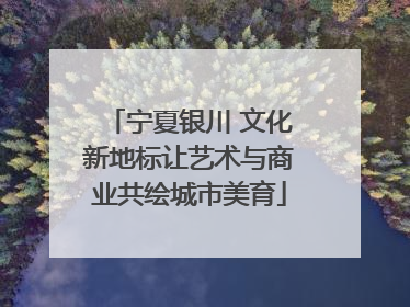 宁夏银川 文化新地标让艺术与商业共绘城市美育