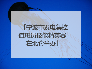 宁波市发电集控值班员技能精英赛在北仑举办