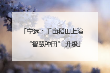 宁远：千亩稻田上演 “智慧种田” 升级