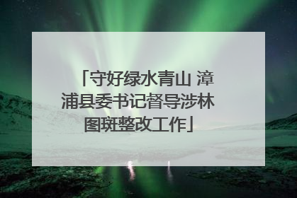 守好绿水青山 漳浦县委书记督导涉林图斑整改工作