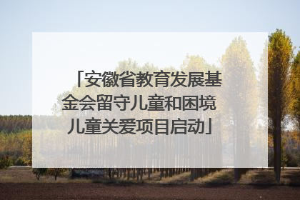 安徽省教育发展基金会留守儿童和困境儿童关爱项目启动