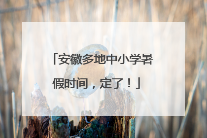 安徽多地中小学暑假时间，定了！