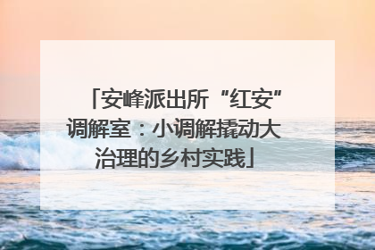 安峰派出所“红安”调解室：小调解撬动大治理的乡村实践
