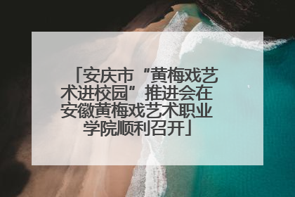 安庆市“黄梅戏艺术进校园”推进会在安徽黄梅戏艺术职业学院顺利召开