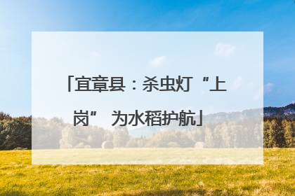 宜章县：杀虫灯“上岗” 为水稻护航