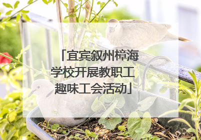 宜宾叙州樟海学校开展教职工趣味工会活动