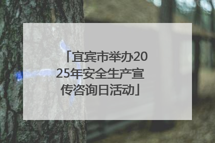 宜宾市举办2025年安全生产宣传咨询日活动