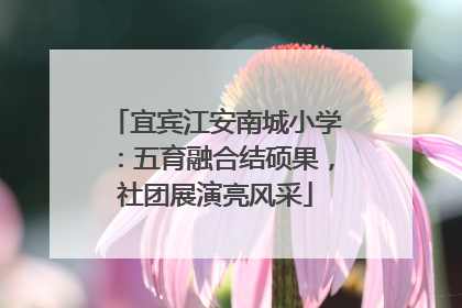 宜宾江安南城小学：五育融合结硕果，社团展演亮风采