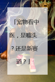 宠物看中医，是噱头？还是新赛道？