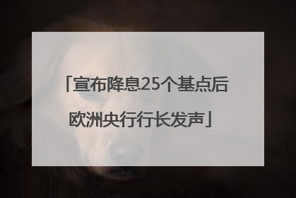 宣布降息25个基点后 欧洲央行行长发声