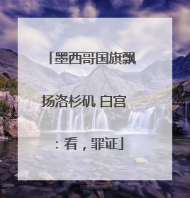 墨西哥国旗飘扬洛杉矶 白宫：看，罪证