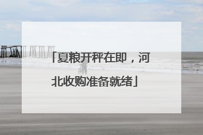 夏粮开秤在即，河北收购准备就绪