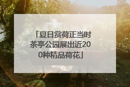 夏日赏荷正当时 茶亭公园展出近200种精品荷花