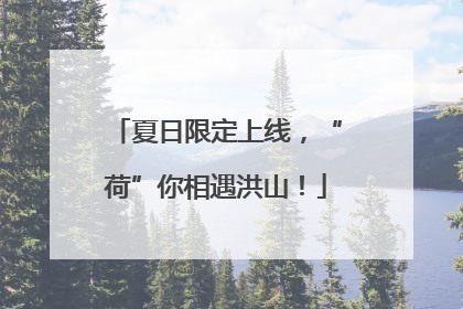 夏日限定上线，“荷”你相遇洪山！
