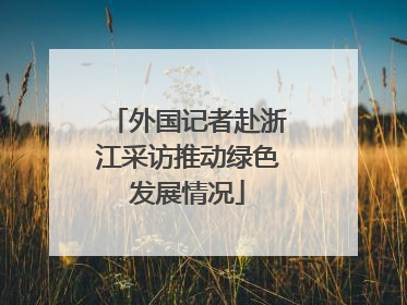 外国记者赴浙江采访推动绿色发展情况