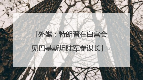 外媒：特朗普在白宫会见巴基斯坦陆军参谋长