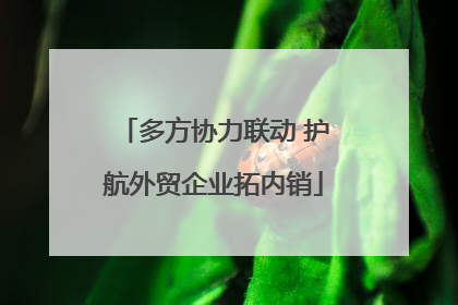 多方协力联动 护航外贸企业拓内销