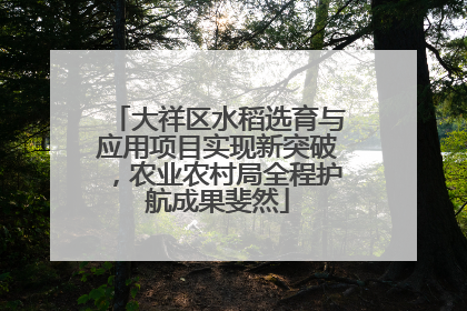 大祥区水稻选育与应用项目实现新突破，农业农村局全程护航成果斐然