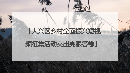 大兴区乡村全面振兴短视频征集活动交出亮眼答卷