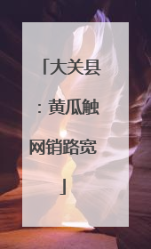 大关县：黄瓜触网销路宽