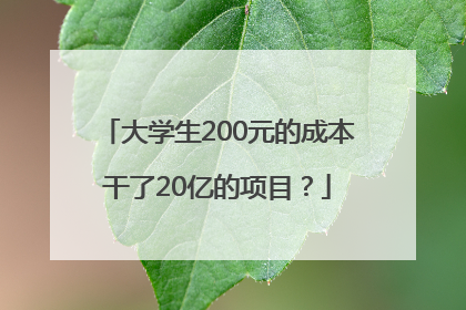 大学生200元的成本干了20亿的项目？