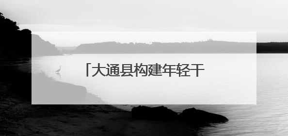 大通县构建年轻干部选育管用成长链