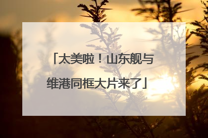 太美啦！山东舰与维港同框大片来了