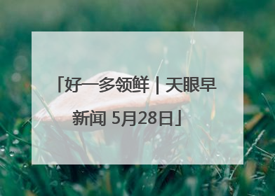 好一多领鲜｜天眼早新闻 5月28日