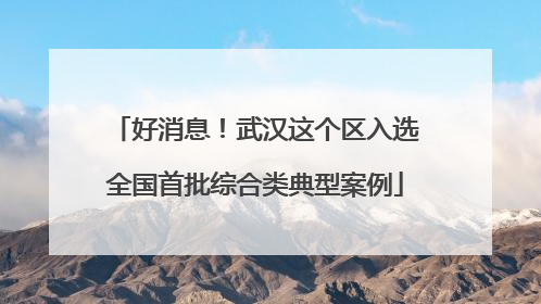 好消息！武汉这个区入选全国首批综合类典型案例