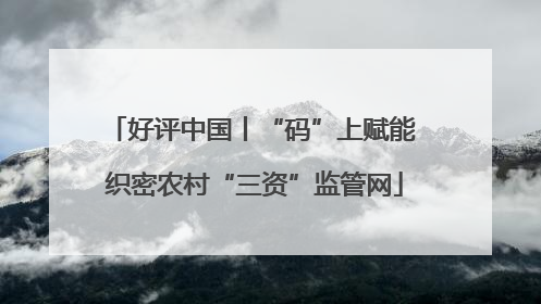 好评中国丨“码”上赋能 织密农村“三资”监管网