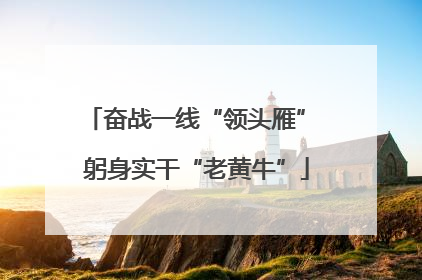 奋战一线“领头雁” 躬身实干“老黄牛”