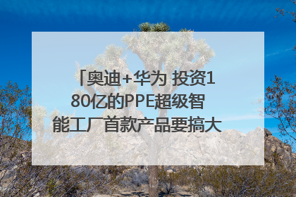 奥迪+华为 投资180亿的PPE超级智能工厂首款产品要搞大事情？｜粤港澳车展