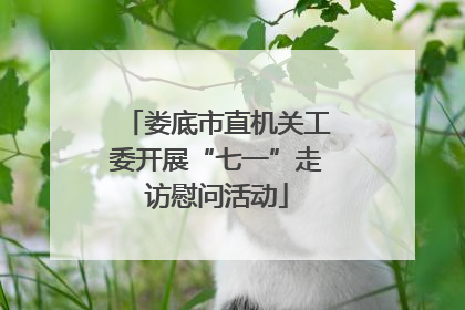 娄底市直机关工委开展“七一”走访慰问活动