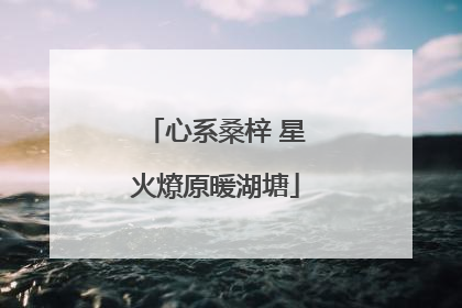心系桑梓 星火燎原暖湖塘