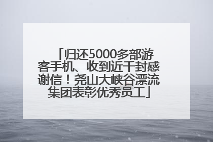 归还5000多部游客手机、收到近千封感谢信！尧山大峡谷漂流集团表彰优秀员工