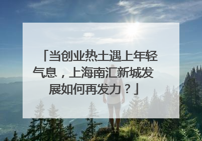 当创业热土遇上年轻气息，上海南汇新城发展如何再发力？