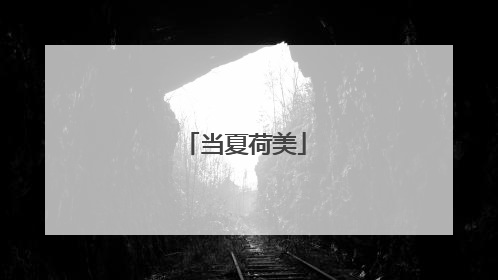当夏荷美