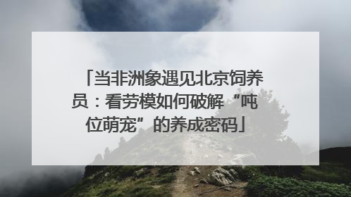 当非洲象遇见北京饲养员：看劳模如何破解“吨位萌宠”的养成密码