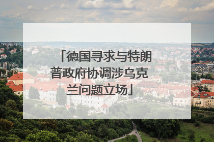 德国寻求与特朗普政府协调涉乌克兰问题立场