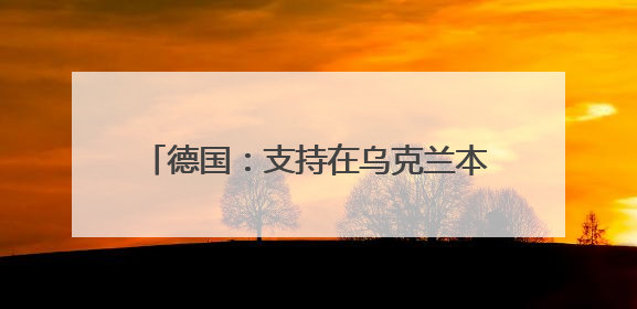 德国：支持在乌克兰本土生产远程导弹，将提供50亿欧元军事援助
