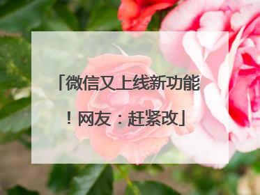 微信又上线新功能！网友：赶紧改