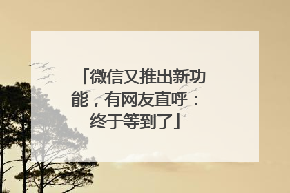 微信又推出新功能，有网友直呼：终于等到了