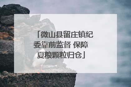 微山县留庄镇纪委靠前监督 保障夏粮颗粒归仓