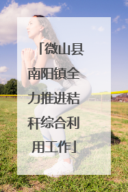 微山县南阳镇全力推进秸秆综合利用工作