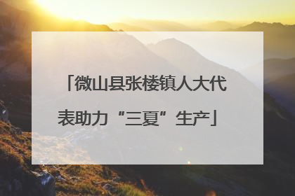 微山县张楼镇人大代表助力“三夏”生产